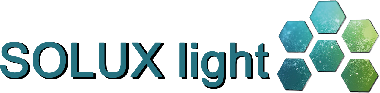 Necesidades de gobiernos municipales y estatales